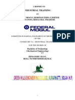 Federal Mogul Group