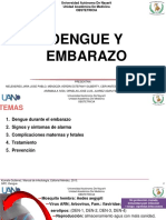 Dengue y Embarazo