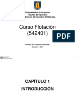 Capitulo 1-Introduccion Flotacion PDF