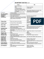 Brain Anatomy Function Cheat Sheet