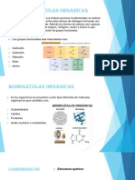 Biomoleculas Organicas