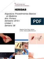 pbm7 (Heridas) PDF