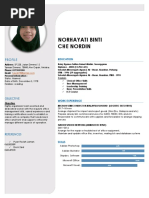 Norhayati Binti Che Nordin: Profile