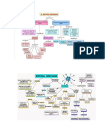 Cuadro Sinóptico Del Sistema Nervioso