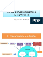 Ingreso de Contaminantes