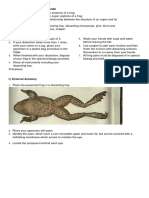 Biology 8 Frog Dissection Guide