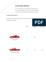 Tipos de Licencia de Conducir