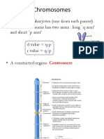 Chromosomes