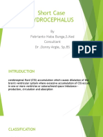 Short Case Hydrocephalus: by Febrianto Haba Bunga, S.Ked Consultant DR .Donny Argie, SP - BS