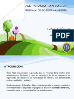 Evaluacion de Impacto Ambiental PDF