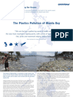 The Plastic Pollution