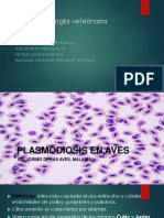 Plasmodiosis en Aves