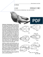 Eumetupias Jubatus (Schreber, 1776) : 4.1.4 FAO Species Identification Sheets