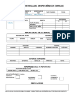 Formato Informes Vacio