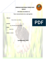 Informe 1 Reconocimiento de Un Suelo Agricola