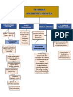 Mapa ANTROPOLOGIA15