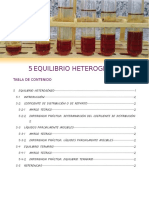 Equilibrio Heterogeneo