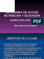 Insulina-Glucagon 2007