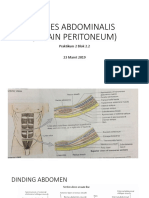 Paries Abdominalis (Selain Peritoneum)