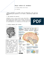 Cerebro No16