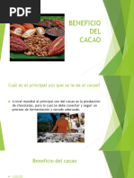 Beneficio Del Cacao