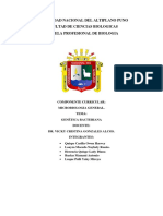 Informe de Genética Bacteriana