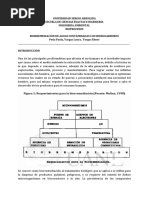 Biorremediación de Hidrocarburos en Aguas