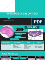 Histología Del Ovario