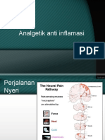 Analgetik Antiinflamasi