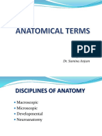 Anatomical Terms