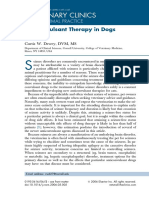 Anticonvulsant Therapy in Dogs