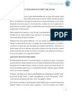 Multiculturalismo en El Perú y Del Mundo Final 0111