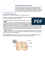 Resumen de Neurociencia Completo