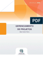 Gerenciamento de Projetos