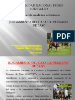 Juzgamiento Del Caballo de Paso