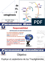 CLASE 27 Beta Oxidacion Ciclo 1. 2019