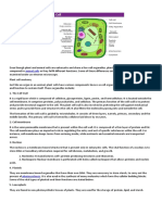 Diagram of Plant Cell