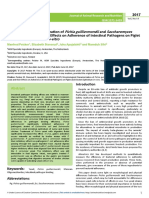 Morphological Characterization of Pichia Guilliermondii and Saccharomyces Cerevisiae Yeast and Their Effects On Adherence of Intes