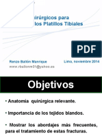 Lima08platillostibiales2demayo 141126232108 Conversion Gate01 PDF