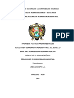 Informe de Practica Pre Profesional