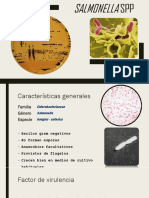 Salmonella spp1