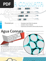 Agua Connata