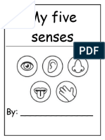 My Five Senses - Project