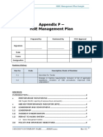 Appendix P - HSE Management Plan