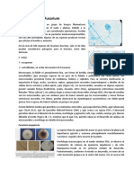 Fusarium, Gliodadium y Moniliophthora