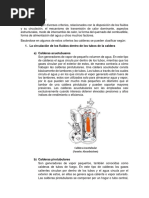 Informe 3