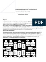 Complemento Radiologia 2019