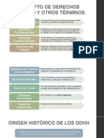 Descripcion Derechos Fundamentales