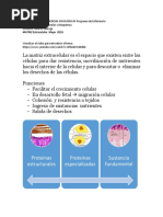 Matriz Extracelular