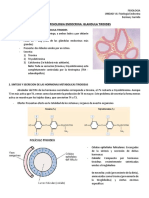 Glandula Tiroides - Fisio